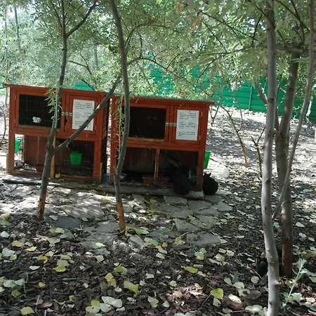 Appartamento тwo Bedroom Children Friendly *